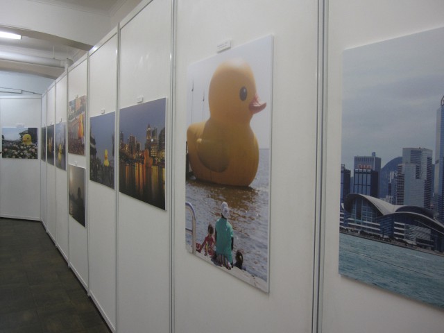 世界をめぐるラバーダック展