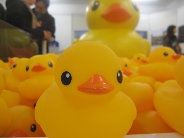 世界をめぐるラバーダック展