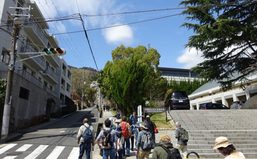 神戸高低差学会「第3回フィールドワーク 地獄やロマンスを感じて、桜のトンネルを抜けよう」