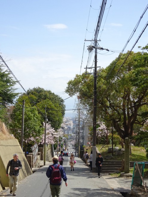 神戸高低差学会「第3回フィールドワーク 地獄やロマンスを感じて、桜のトンネルを抜けよう」