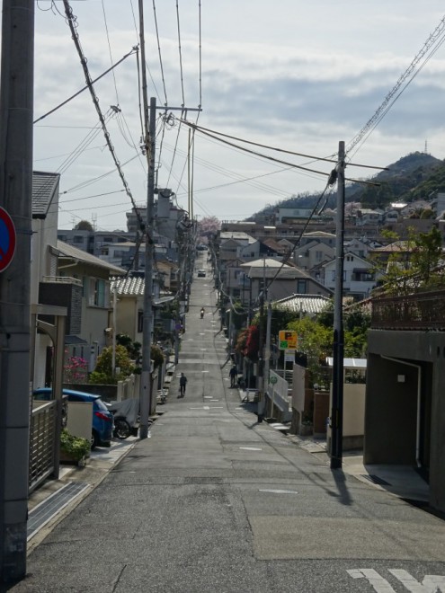 神戸高低差学会「第3回フィールドワーク 地獄やロマンスを感じて、桜のトンネルを抜けよう」
