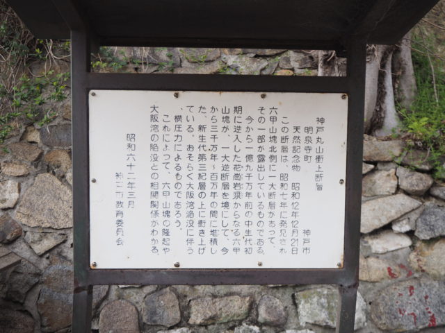 丸山衝上断層