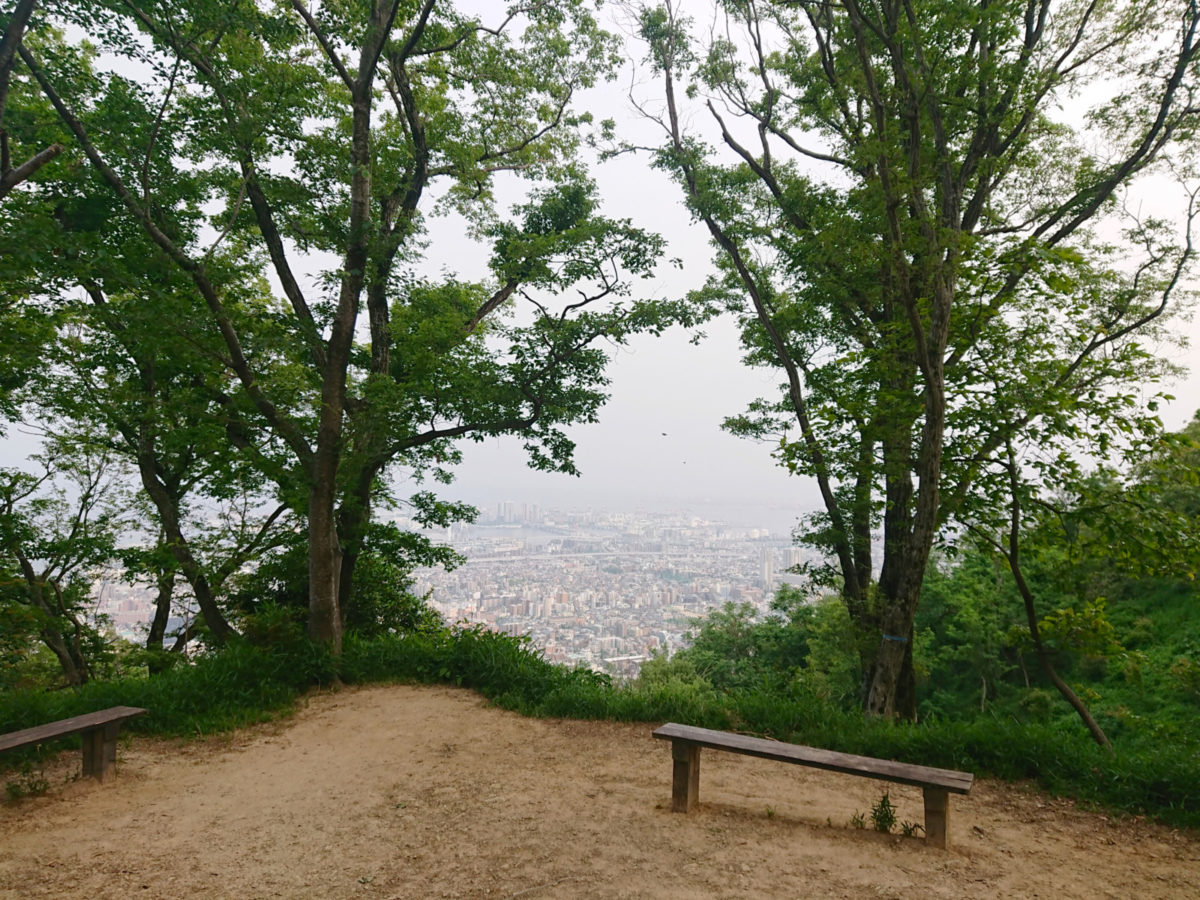 魚屋道 ~ 金鳥山
